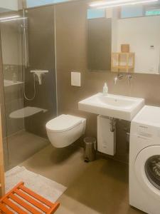 a bathroom with a toilet and a sink and a shower at Natural Wooden House With Panoramic View in Ihlow
