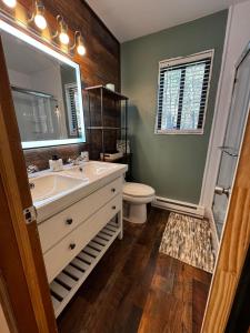 une salle de bains avec lavabo, toilettes et miroir dans l'établissement Pocono Mountain Chalet, à Tobyhanna