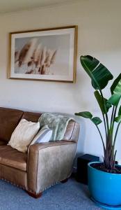 Posezení v ubytování Sunny in Fitzroy + 1 fotografie