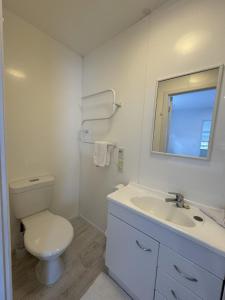 a white bathroom with a toilet and a sink at Private Self Contained Unit Dog Friendly in Claudelands +3 photos