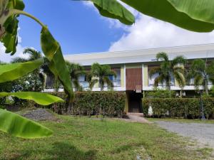 バンタオビーチにあるBangtao Mango Houseの前にヤシの木がある建物