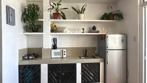 a small kitchen with a refrigerator and shelves with plants at Two Bedroom Beachfront Penthouse in Boracay