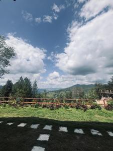 Příroda nedaleko ubytování v soukromí + 79 fotografií