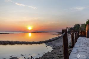 Природа в окрестностях гостевого дома