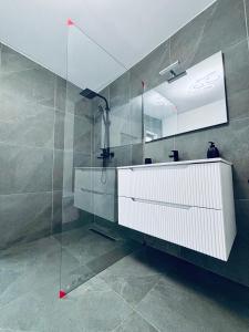 Un baño con ducha con lavabo y espejo. en Secret Forest Avrig By Erwin, en Avrig