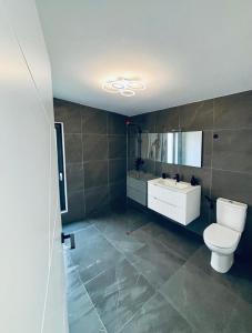 Un baño con inodoro, lavabo y espejo. en Secret Forest Avrig By Erwin, en Avrig 2 fotos más