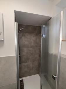een douche met een glazen deur in een badkamer bij Ferienwohnung Daviana in Beckingen +4 foto's
