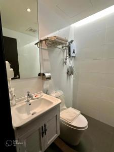 吉隆坡D Loft Hotel的带水槽、马桶和镜子的浴室 更多17张照片