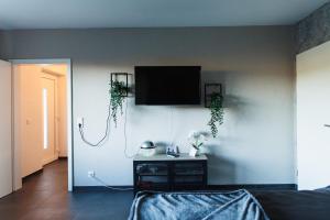 TV a/nebo společenská místnost v ubytování Ferienwohnung Empt Vussem