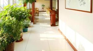 Zahrada ubytování GreenTree Inn Wuxi Xinwu District Meicun Town Taibo Avenue