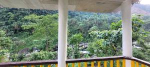 Zimmer mit Waldblick in der Unterkunft Rongo Orange Valley Camp&Cottages in Jhalong