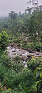 ein Fluss inmitten eines Feldes mit Bäumen in der Unterkunft Rongo Orange Valley Camp&Cottages in Jhalong