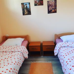 two beds in a room with pictures on the wall at VILANATALIJA PANSION, APATIN in Apatin