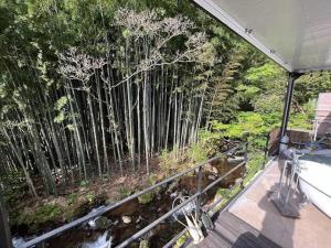 Příroda nedaleko kempu