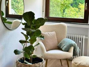 a chair and a plant in a room with a mirror at EifelZeit 1 in Kall