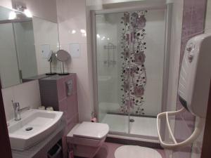 a bathroom with a shower and a toilet and a sink at Apartament w Baltic Park in Stegna