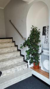 uma escada com um vaso de plantas num quarto em Hotel Calaluna em Biella