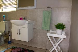 a bathroom with a sink and a toilet at Maskam Guest Farm in Vanrhynsdorp +73 photos