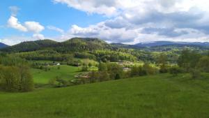 a green field with trees and mountains in the background at Pine Peak Holiday House Sosnówka in Sosnówka