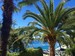 a palm tree in front of a beach at Apartment Stella in Mali Lošinj