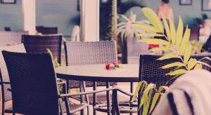 a table and chairs and a plant on a patio at Insel Fehmarn Hotel in Apia