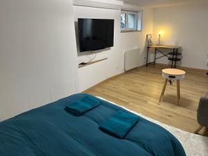 TV a/nebo společenská místnost v ubytování Jolie Chambre zen