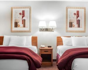 Postel nebo postele na pokoji v ubytování Econo Lodge Ithaca Airport