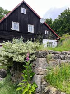 Zahrada ubytování Horní Prysk