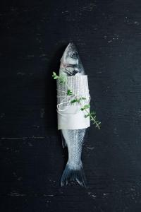 Άλλα ζώα σε αυτό το ξενοδοχείο ή στη γύρω περιοχή