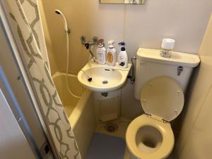 a small bathroom with a toilet and a sink at 御嶽ハウス in Tokyo +13 photos