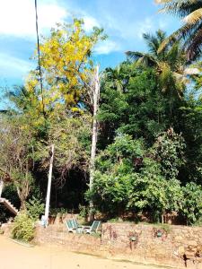 Gallery image of Ella Nature Park Hostel in Ella