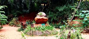 Gallery image of Ella Nature Park Hostel in Ella