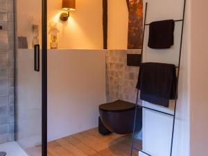a bathroom with a toilet and a shower at N5Quartier in Bad Münstereifel