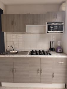een keuken met een kookplaat en een magnetron bij Cozy House with Private Garden in Pachuca in Pachuca de Soto +5 foto's