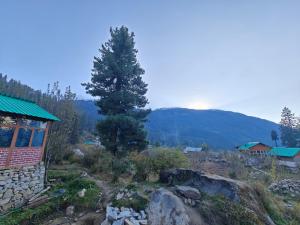 Příroda nedaleko penzionu + 7 fotografií