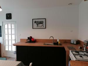 una cocina con fregadero y encimera en Le gîte du Tordoir, en Les Rues-des-Vignes