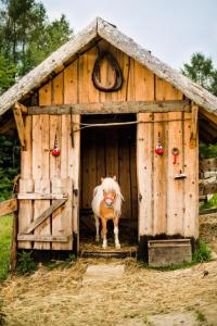 Fotografia z galérie ubytovania Pienińskie Herbarium dobre samopoczucie, wellness, mini zoo, poczujesz folklor Pienin v destinácii Grywałd