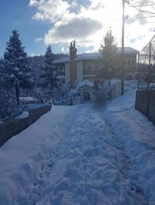 a driveway covered in snow in front of a house at pavliani house in Pávliani