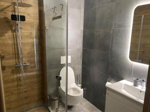 a bathroom with a toilet and a glass shower at Penzion Branná in Branná
