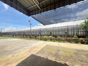 a large building with plants in front of it at ทองอุไรโฮมสเตย์ ณ แม่สาย in Mae Sai
