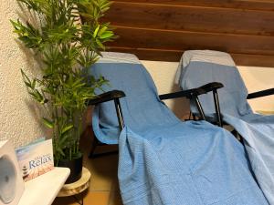 duas camas com lençóis azuis ao lado de uma planta em Ferienhaus Albmatte-Sauna im Haus-gemütliche Apartments em St. Blasien mais 39 fotografias