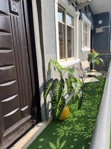 Κήπος έξω από το Cozy Modern Apartment with Free WiFi Netflix 1bed luxury Apartment, Adeniyi Jones 24hours Power 3min From the Airport