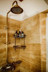 a bathroom with a shower with two shelves at Kiskovász Pajta & Inn in Nagytevel