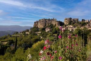 Природа в окрестностях гостевого дома +5 фотографий