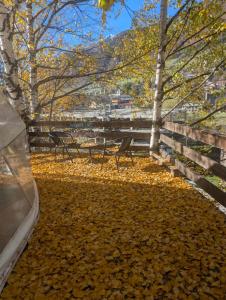 Fotografie z fotogalerie ubytování Svanpling v destinaci Mestia + 2 fotografie