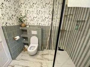 a bathroom with a toilet and a shower stall at Skryta Chata Ojców in Smardzowice