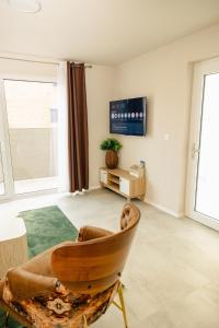 a living room with a chair and a tv at Maison MUGUET 3 SPA-PARKING-COLMAR in Wickerschwihr +42 photos