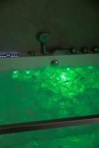 Πισίνα στο ή κοντά στο Maison MUGUET 3 SPA-PARKING-COLMAR