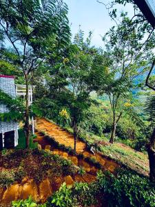 Φυσικό τοπίο κοντά σε αυτό το ξενοδοχείο