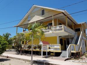 a house on the beach with a palm tree at Serenade Hotel in Placencia Village